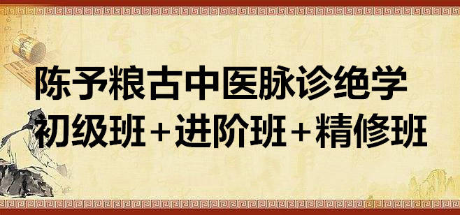 陈予粮古中医脉诊绝学初级班+进阶班+精修班 60G